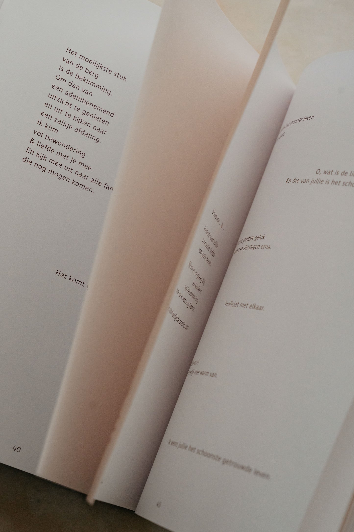 Wensenboek