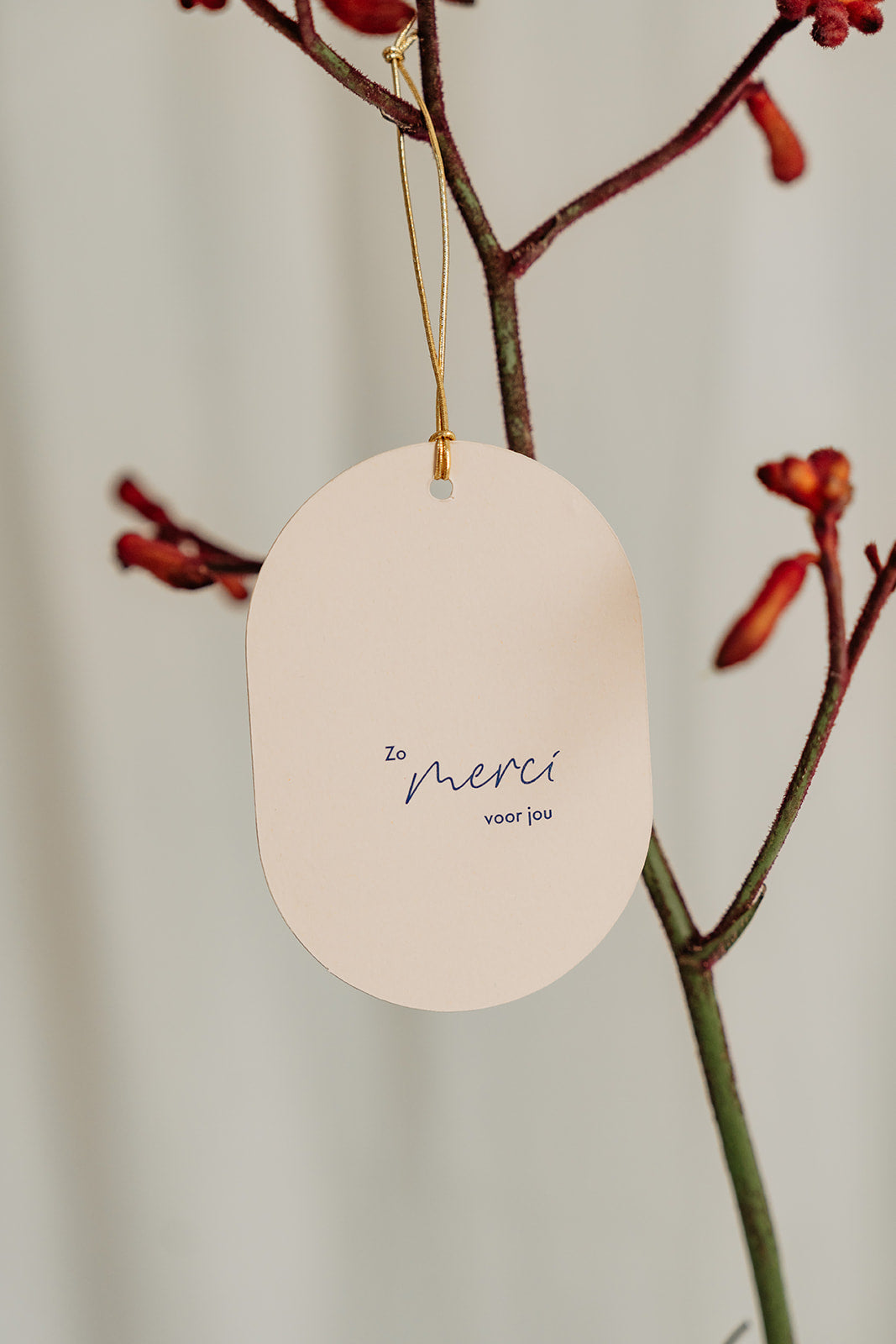 Cadeaulabel Merci