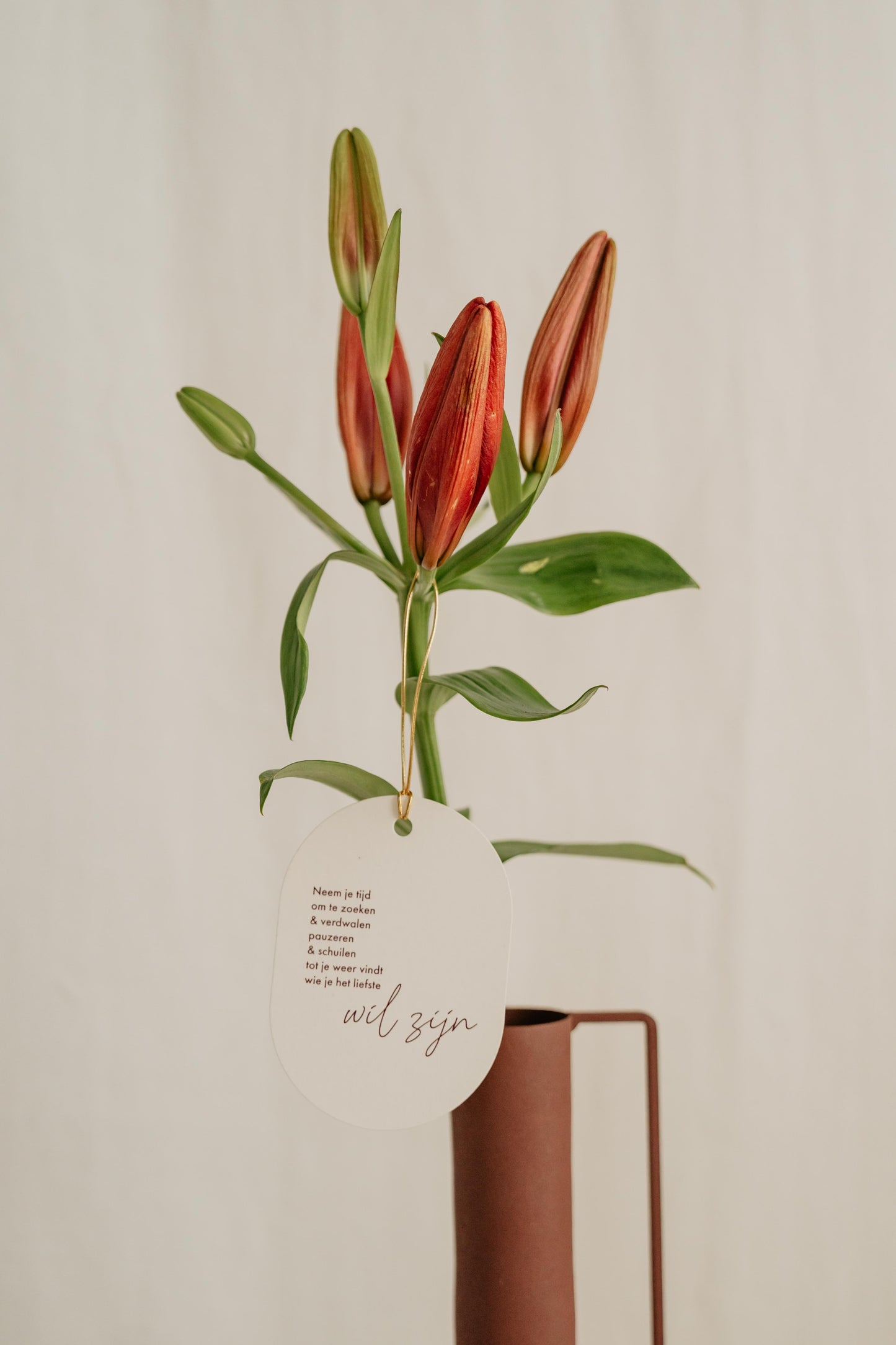 set 9 cadeaulabels