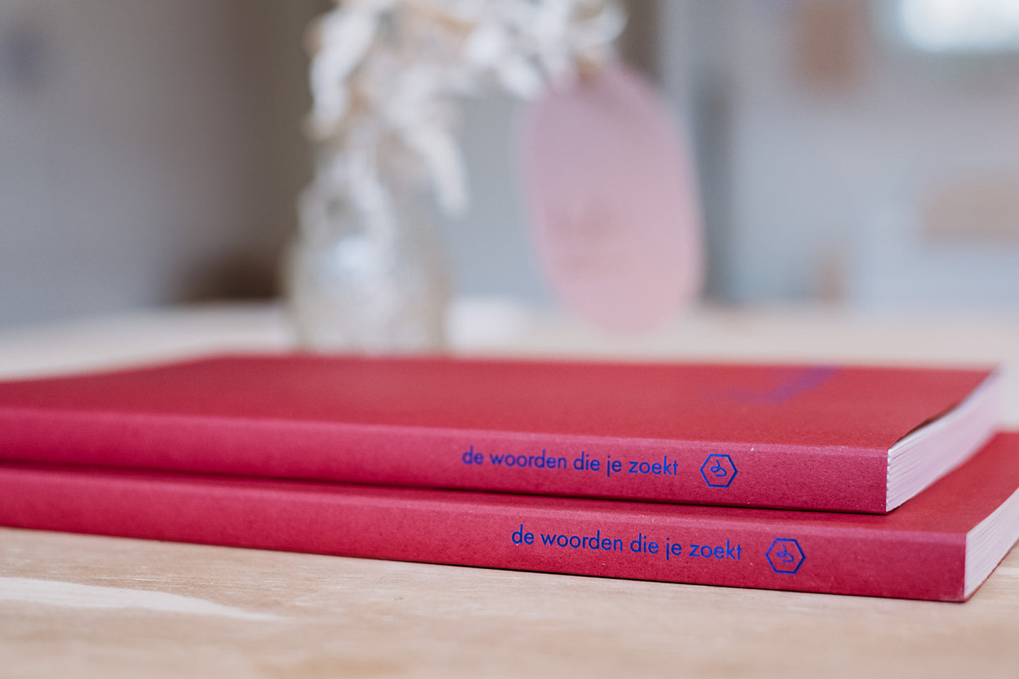 Woordencadeau: Wensenboek + 10 woordkaarten